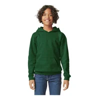 Odzież sportowa dziecięca - Bluza Dziecięca/dziecięca Softstyle Plain Fleece Midweight Hoodie - miniaturka - grafika 1