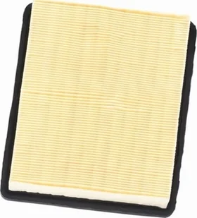 Dedra Filtr Hepa do DED6607 - Filtry do odkurzaczy - miniaturka - grafika 1