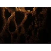 Okleiny - Vesper Okleina samoprzylepna natura 67,5 cm czarno-złota - miniaturka - grafika 1