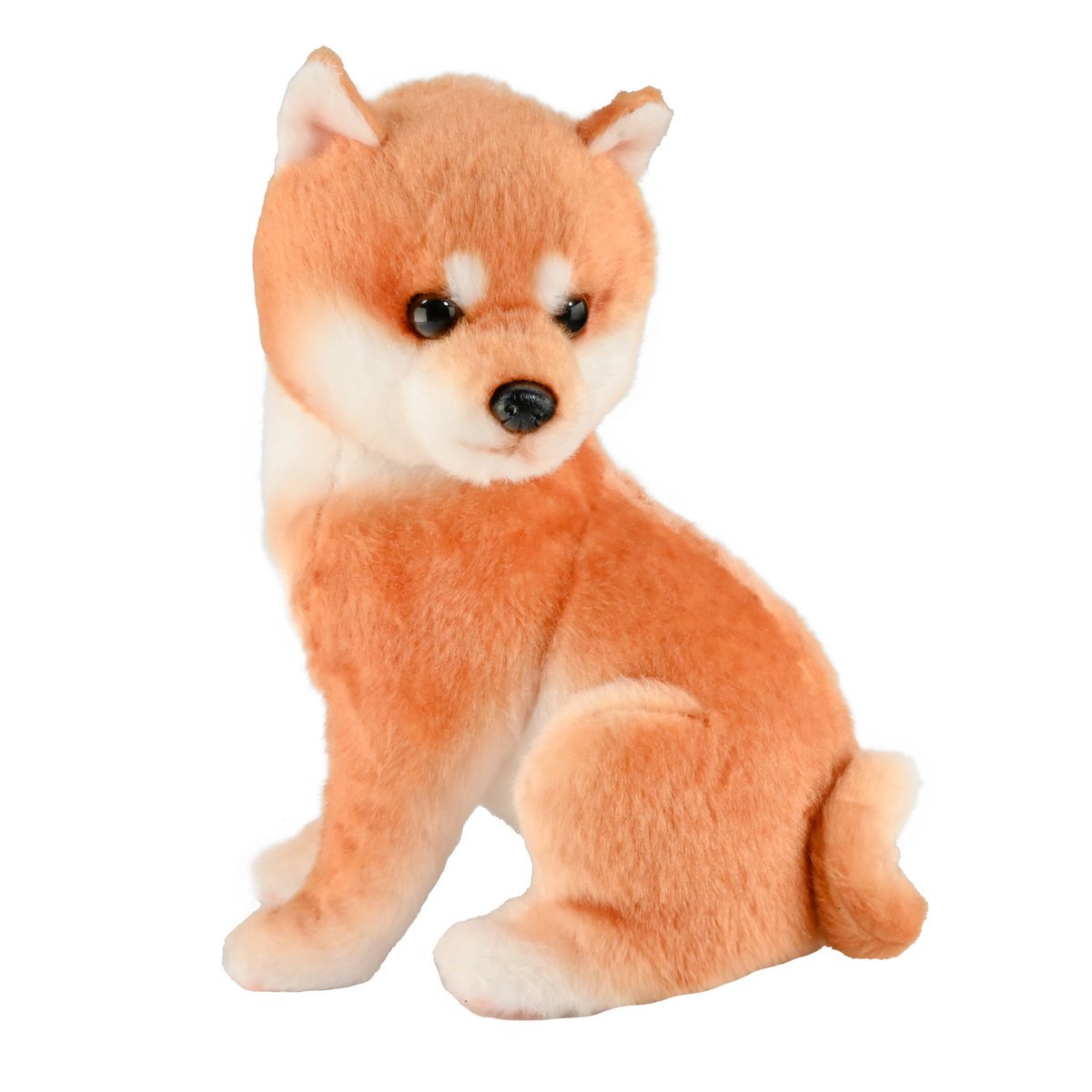 Chinchilla, Naturalistyczny siedzący shiba inu 34 cm