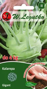 Kalarepa Gigant nasiona otoczkowane 100szt. W. Legutko - Nasiona i cebule - miniaturka - grafika 1