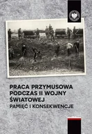 Technika - Praca przymusowa podczas II wojny światowej - Wojciech Wichert, Tomasz Ślepowroński - miniaturka - grafika 1