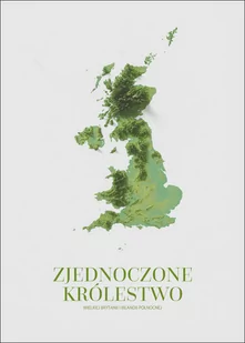 UK, mapa - plakat 61x91,5 cm - Plakaty - miniaturka - grafika 1