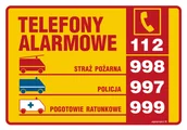 Instrukcje stanowiskowe BHP - DA003 TABLICZKA TELEFONÓW ALARMOWYCH, PN - PŁYTA PCV 1MM; (148X105MM) - miniaturka - grafika 1