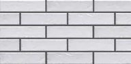 Płytki ceramiczne - Cerrad Foggia Bianco Elewacja 24x6 Płytka Ścienna - miniaturka - grafika 1