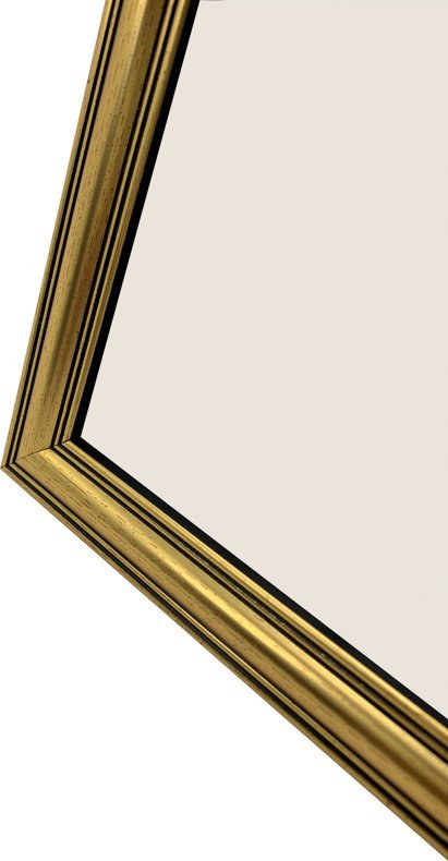 Ramka Focus Focus Holly Gold 30x40