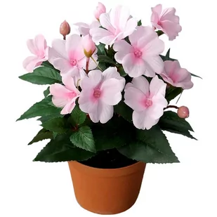 Sztuczny Niecierpek w doniczce różowy, 24 cm - Sztuczne kwiaty - miniaturka - grafika 1