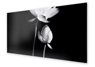 Panel kuchenny HOMEPRINT Czarno biały kwiat lotosu 100x50 cm - Dekoracje domu Panel kuchenny HOMEPRINT Czarno biały kwiat lotosu 100x50 cm - Dekoracje domu - miniaturka - grafika 1