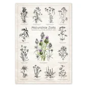 Obrazy i zdjęcia - Naturalnie Zioła. Plakat botaniczny. - miniaturka - grafika 1