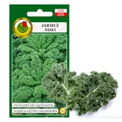 Nasiona i cebule - JARMUŻ NISKI DWARF GREEN CURLED NASIONA BEZ GMO - miniaturka - grafika 1