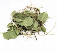 Przyprawy i zioła sypkie - ZIELE GRUSZYCZKI PYROLA 500G 100% NATURALNY SKLEP - miniaturka - grafika 1