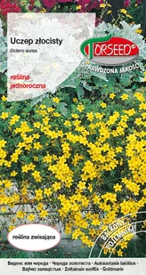 Nasiona Uczep złocisty żółty 0,2g - Torseed - Nasiona i cebule - miniaturka - grafika 1