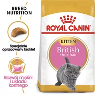 Sucha karma dla kotów - Royal Canin Kitten British Shorthair 2 kg - miniaturka - grafika 1