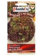 Nasiona i cebule - Plantico Sałata typ LolloRossa - miniaturka - grafika 1