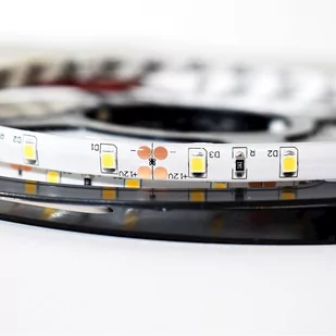 Milagro Milagro Taśma LED Pro 5m 60/1mb 24W/500cm Zimna biała 6000K IP65 ML4750 - Taśmy LED - miniaturka - grafika 1
