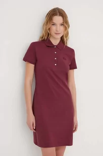 Lacoste sukienka kolor bordowy mini prosta - Sukienki - miniaturka - grafika 1