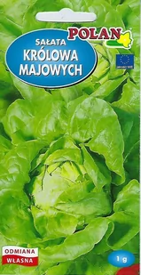 Sałata Masłowa Królowa Majowych Nasiona 1g Polan - Nasiona i cebule - miniaturka - grafika 1