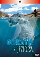 Filmy fabularne DVD - OLBRZYM Z JEZIORA (Mee-Shee: The Water Giant) [DVD] - miniaturka - grafika 1