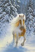 Malowanie po numerach - Artnapi 40x50cm Malowanie Po Numerach - Koń w zimowym lesie - Na Drewnianej Ramie - miniaturka - grafika 1