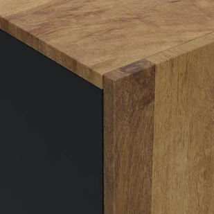 Szafka z 4 drzwiczek, 60x33x75 cm, lite drewno mango Lumarko! - Szafki do salonu - miniaturka - grafika 7