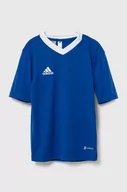 Koszulki dla dziewczynek - adidas Performance t-shirt dziecięcy ENT22 JSY Y kolor niebieski gładki - miniaturka - grafika 1