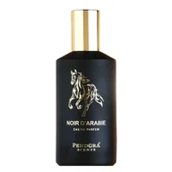 Wody i perfumy damskie - Pendora Scents Noir D'Arabie woda perfumowana 100 ml - miniaturka - grafika 1