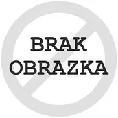 Zapachy do domu - Dorota & Aroma Home Sticks, Patyczki zapachowe, Geranium z Limonką, 100 ml - miniaturka - grafika 1