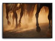 Plakaty - Plakat r A3 42x30 cm Konie Zwierzęta Natura - miniaturka - grafika 1