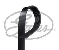 Paski klinowe i wielorowkowe - Pasek klinowy wielorowkowy Gates 8PK942EST - miniaturka - grafika 1