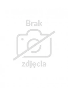 Zegarek Zegarek Certina C033.051.22.118.01 DS-8 Lady - Zegarki damskie - miniaturka - grafika 1