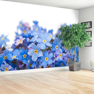 Fototapeta Niezapominajki - Fototapety - miniaturka - grafika 1