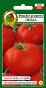 Nasiona i cebule - Pomidor Gruntowy Hubal 1 g PNOS - miniaturka - grafika 1