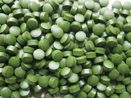 Herbata - Chlorella vulgaris tabletki 250mg - 100szt - 25g - miniaturka - grafika 1