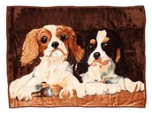 Koce - Koc Elway 160x210 bernardyny cavaliery - miniaturka - grafika 1