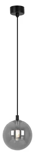 Wisząca lampa ze szklanym kloszem grafitowa Z6-T53 - Lampy sufitowe Wisząca lampa ze szklanym kloszem grafitowa Z6-T53 - Lampy sufitowe - miniaturka - grafika 1