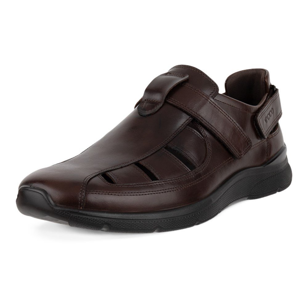 Buty Ecco 51176401667