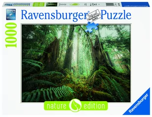 Puzzle 2D, Lasy, 1000 el. - Puzzle Puzzle 2D, Lasy, 1000 el. - Puzzle - miniaturka - grafika 1
