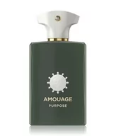 Wody i perfumy męskie - Amouage Odyssey Purpose woda perfumowana 100 ml - miniaturka - grafika 1