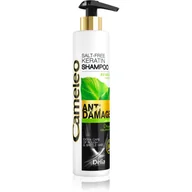 Szampony do włosów - Delia Cosmetics Cosmetics Cameleo BB szampon do włosów zniszczonych 250ml - miniaturka - grafika 1