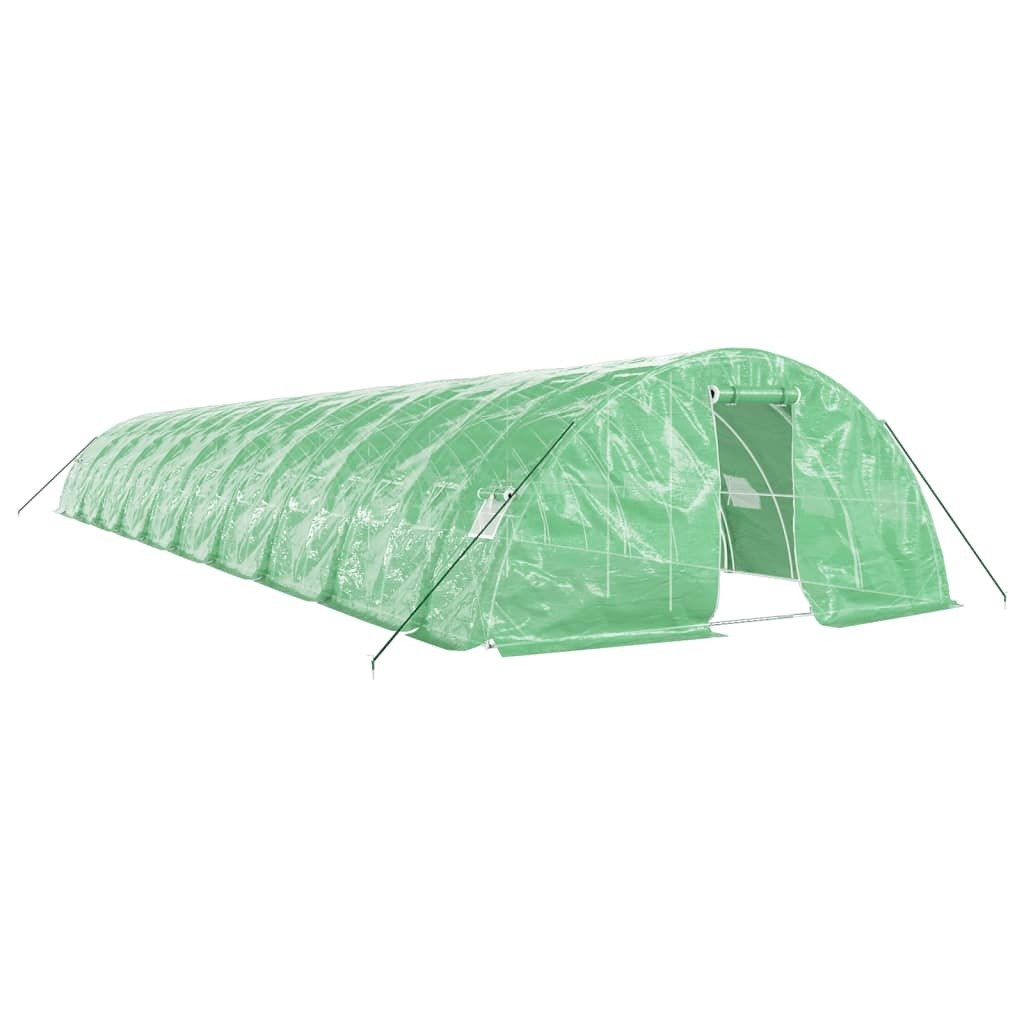 Prolenta Premium - Szklarnia z ramą stalową zielona 100 m² 20x5x2,3 m