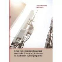 Usługi rynku telekomunikacyjnego w warunkach rosnącej roli internetu na przykładzie wybranych państw Czaplewski Maciej Stecyk Adam - Ekonomia - miniaturka - grafika 1
