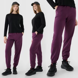 Spodnie Damskie Dresowe 4f Xs Joggery Ttrof1013 Ss25 - Spodnie damskie - miniaturka - grafika 1