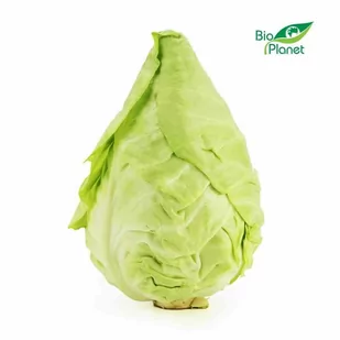 ŚWIEŻE KAPUSTA SZPICZASTA ŚWIEŻA BIO (około 0,80 kg) - Warzywa świeże i suszone - miniaturka - grafika 1