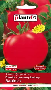 NASIONA Pomidor Gruntowy Karłowy Babinicz 1g PLANTICO 405356 - Nasiona i cebule - miniaturka - grafika 1