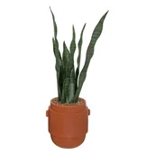 Sztuczne kwiaty - Sztuczna roślina w doniczce, wężownica, 70 cm - miniaturka - grafika 1