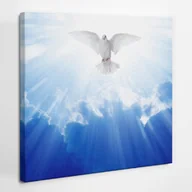 Ikony i obrazy sakralne - Ducha Święty biała gołębica - obraz polycanvas, 40x40 - miniaturka - grafika 1