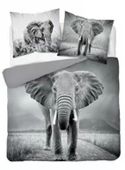 Pościel - Detexpol Pościel bawełniana 220x200 3813 A Słoń szara młodzieżowa Słonie elephant Holland Natura 2 - miniaturka - grafika 1