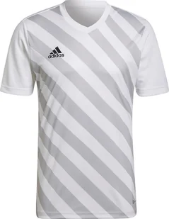 Adidas Koszulka adidas ENTRADA 22 GFX JSY HF0129 HF0129 biały XL - Koszulki męskie - miniaturka - grafika 1