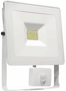 Biały naświetlacz LED z czujnikiem ruchu NOCTIS 10W barwa ciepła - Lampy ogrodowe - miniaturka - grafika 1