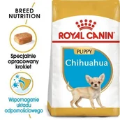Sucha karma dla psów - Royal Canin Chihuahua Junior 1,5 kg - miniaturka - grafika 1